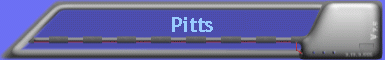 Pitts